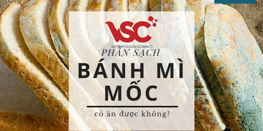 CÓ NÊN ĂN PHẦN SẠCH CỦA Ổ BÁNH MÌ MỐC?